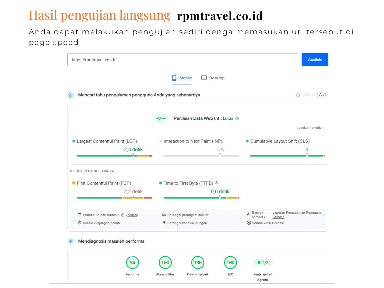Hasil Pengujian Page Speed